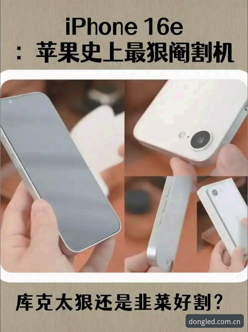 乐动体育安卓版全面解析：2026新版与旧版兼容性深度对比