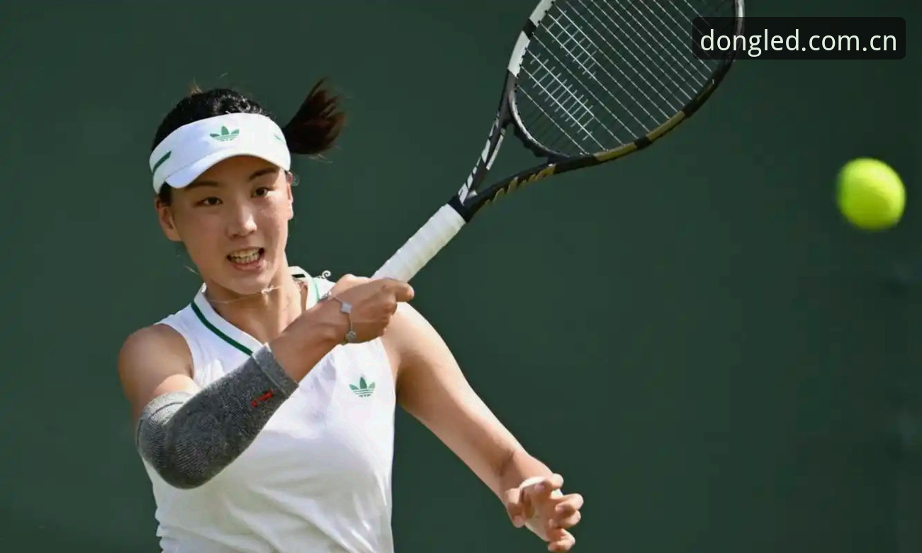 2026法网女单抽签深度分析：郑钦文保分压力与王欣瑜种子首秀全面解析