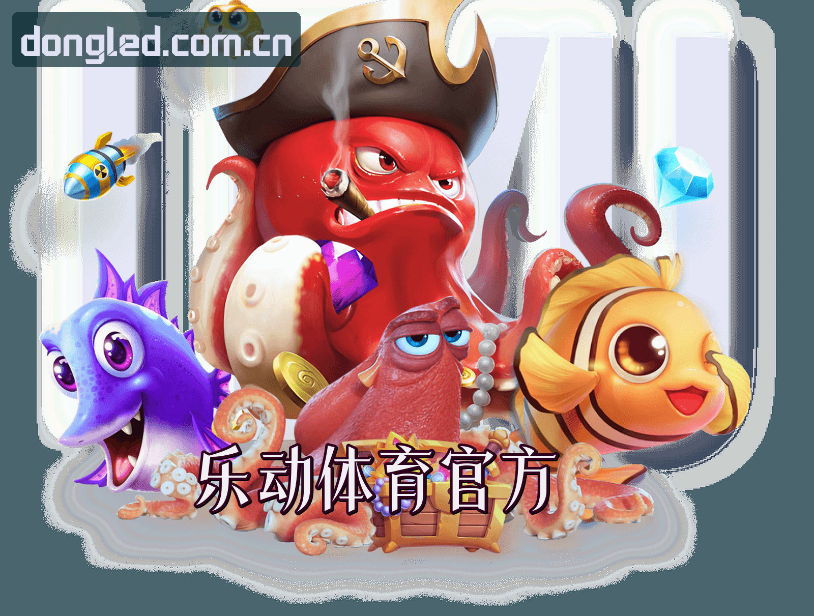 关于我们介绍